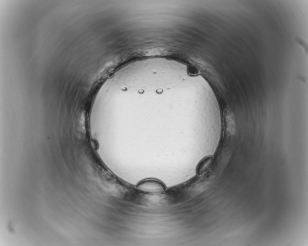 X0000102290308200808152000