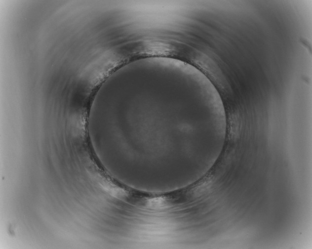 X0000102290309200808152000