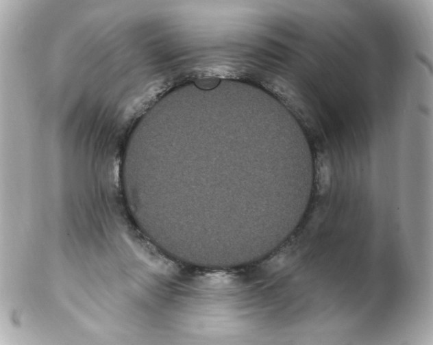 X0000102290310200808152000