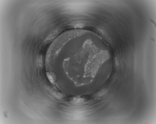 X0000102290311200808152000