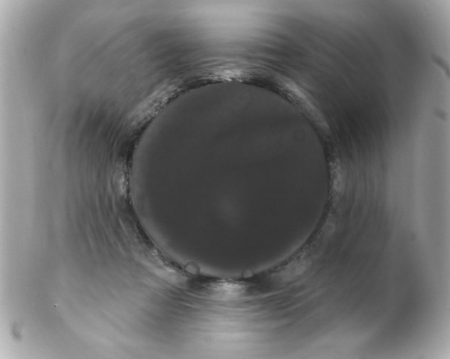 X0000102290313200808152000