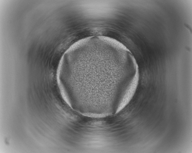 X0000102290314200808152000