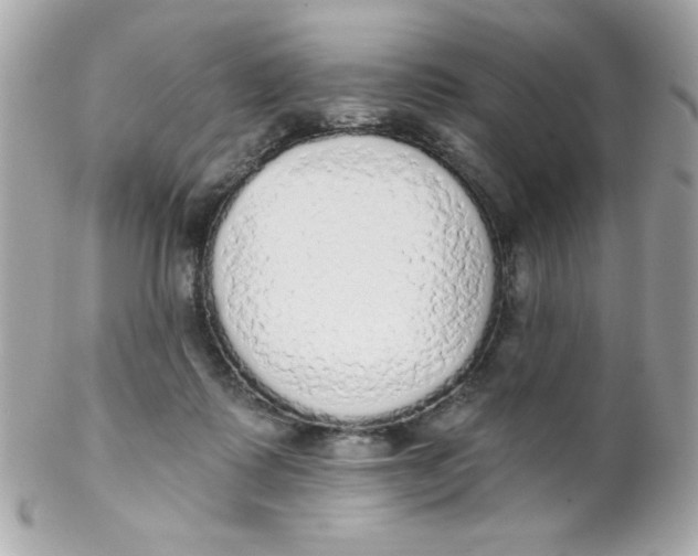 X0000102290315200808152000