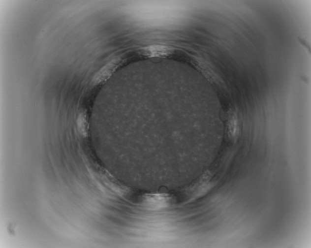 X0000102290316200808152000