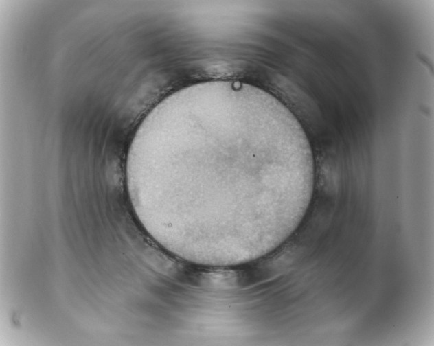 X0000102290317200808152000