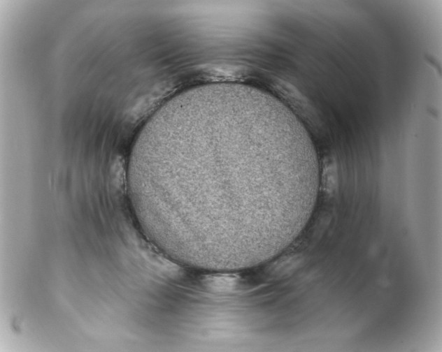 X0000102290318200808152000