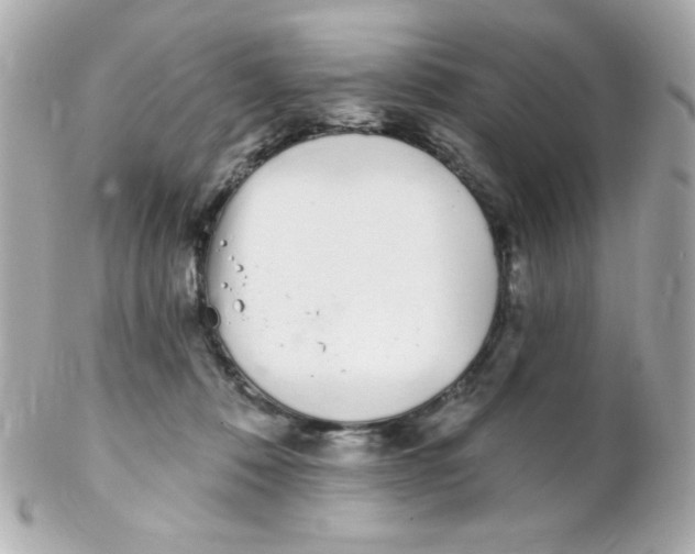 X0000102290320200808152000