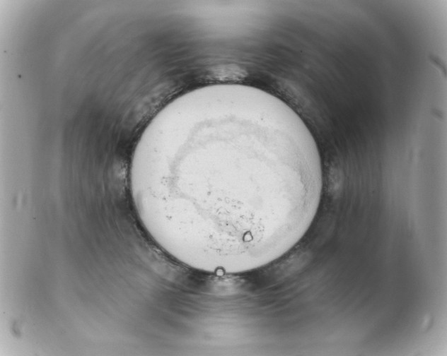 X0000102290321200808152000