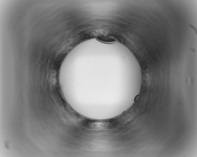 X0000102290323200808152000