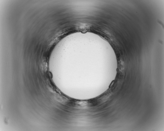 X0000102290324200808152000