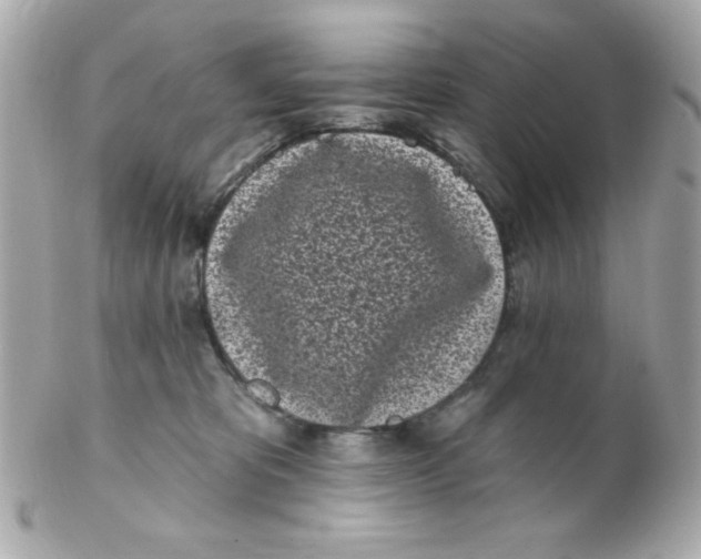 X0000102290325200808152000