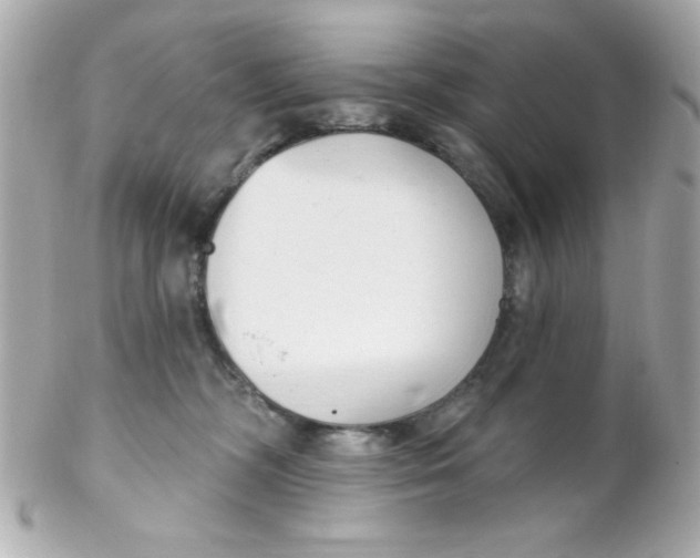 X0000102290326200808152000