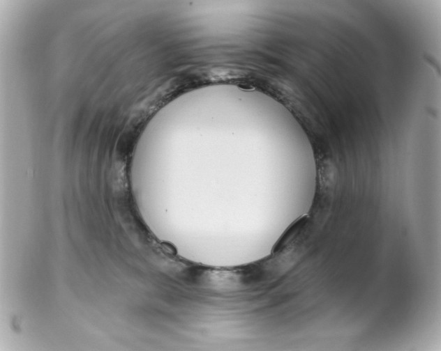 X0000102290327200808152000