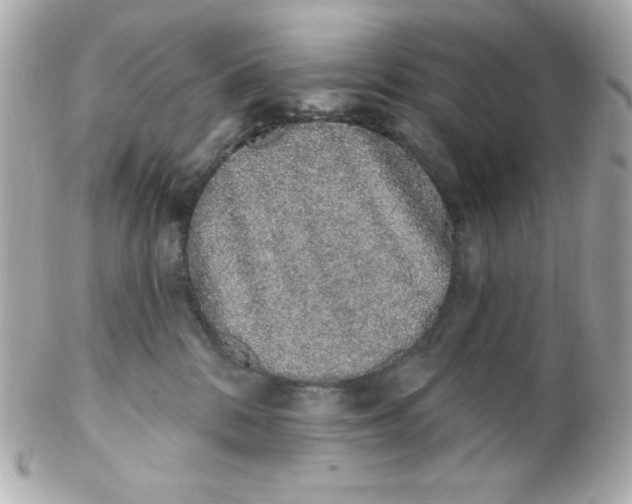 X0000102290328200808152000