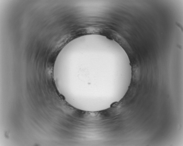 X0000102290329200808152000