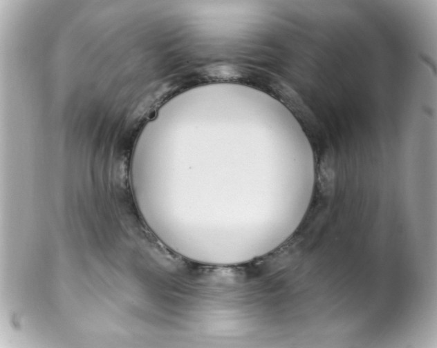 X0000102290330200808152000