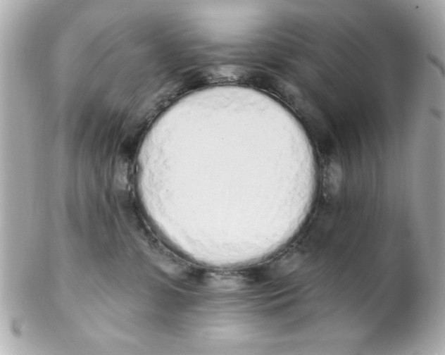 X0000102290331200808152000