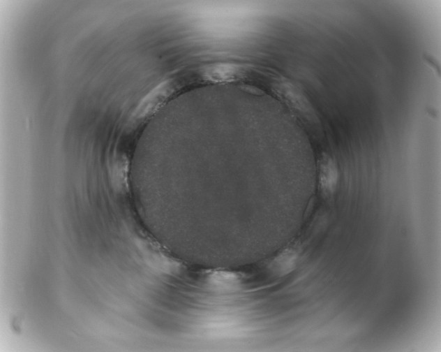 X0000102290332200808151959