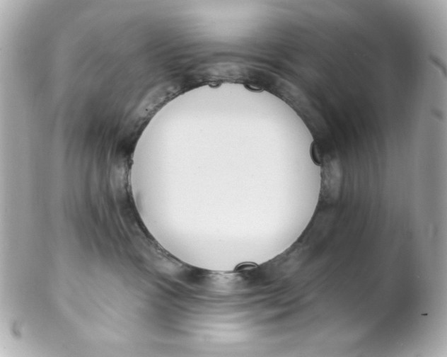 X0000102290333200808151959