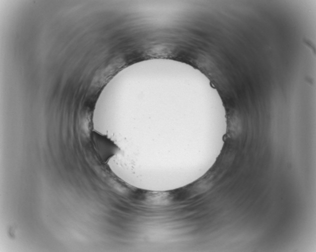 X0000102290334200808151959