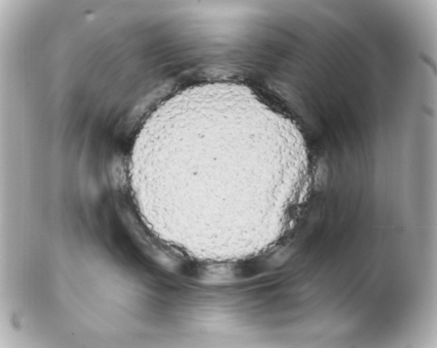 X0000102290335200808151959