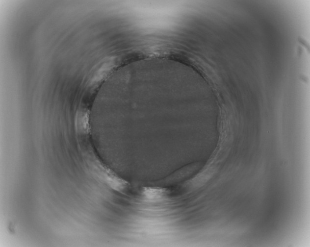 X0000102290336200808151959