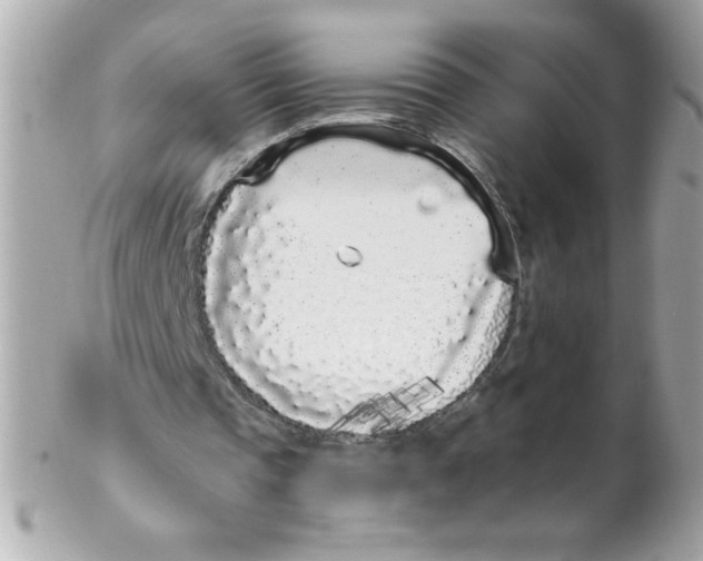 X0000102290337200808151959