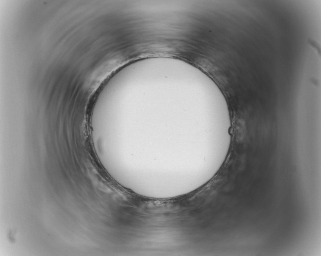 X0000102290338200808151959