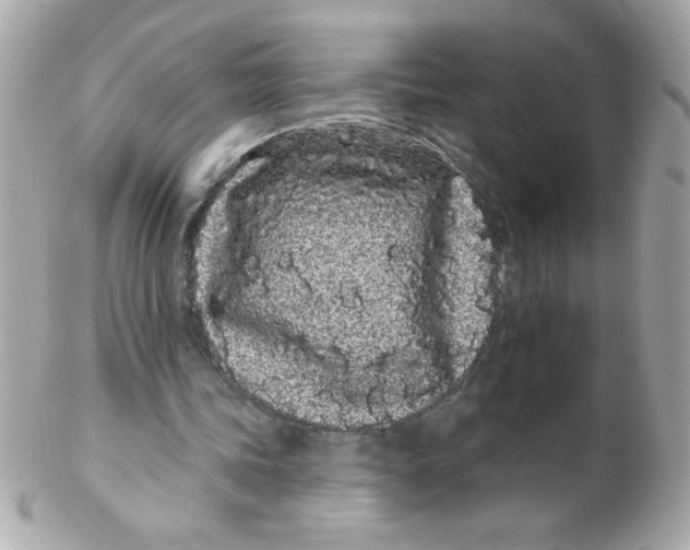 X0000102290339200808151959