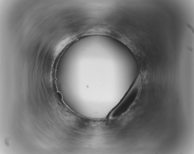 X0000102290340200808151959