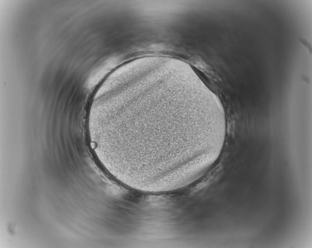 X0000102290341200808151959