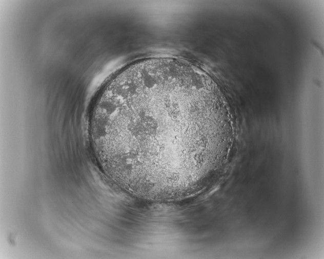 X0000102290343200808151959