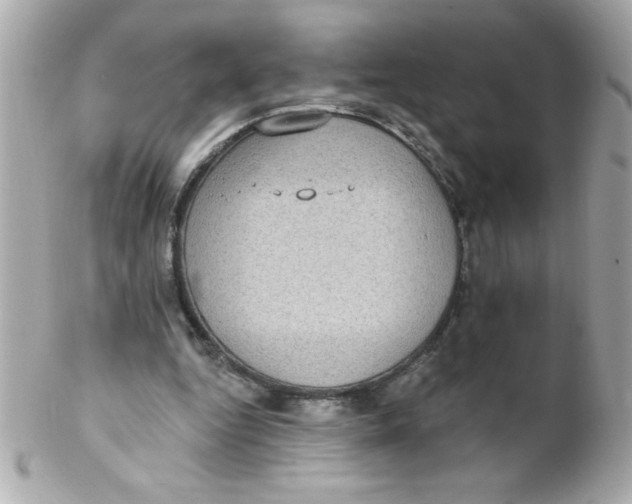 X0000102290344200808151959