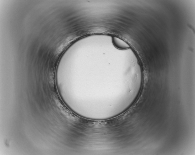 X0000102290345200808151959