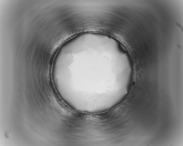 X0000102290346200808151959