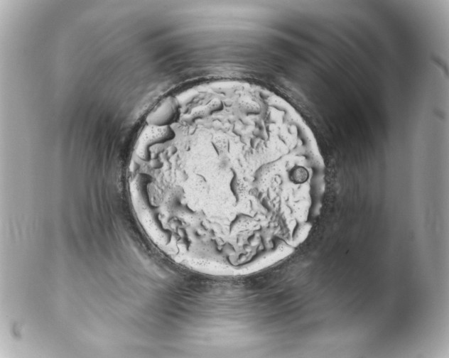 X0000102290347200808151959