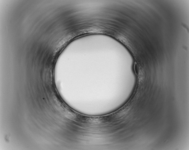 X0000102290349200808151959