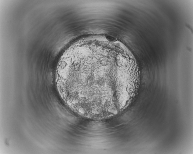 X0000102290351200808151959