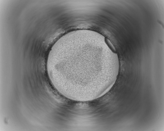 X0000102290354200808151959