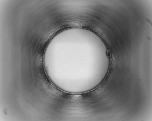 X0000102290355200808151959