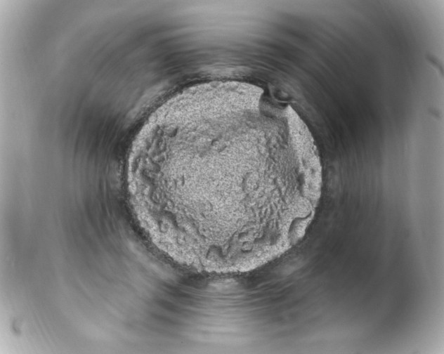 X0000102290357200808151959