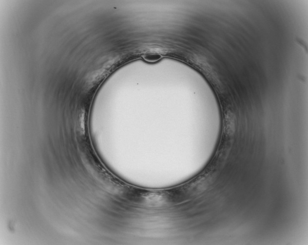 X0000102290358200808151959