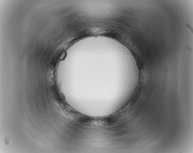 X0000102290360200808151959