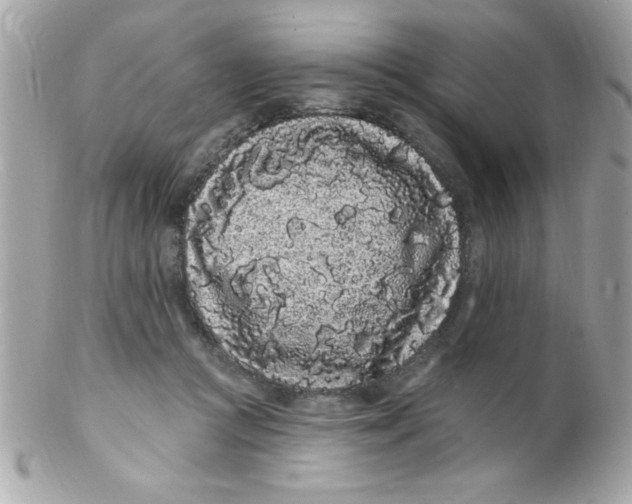 X0000102290361200808151959