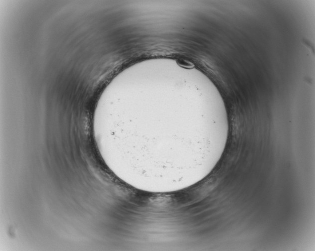 X0000102290362200808151959