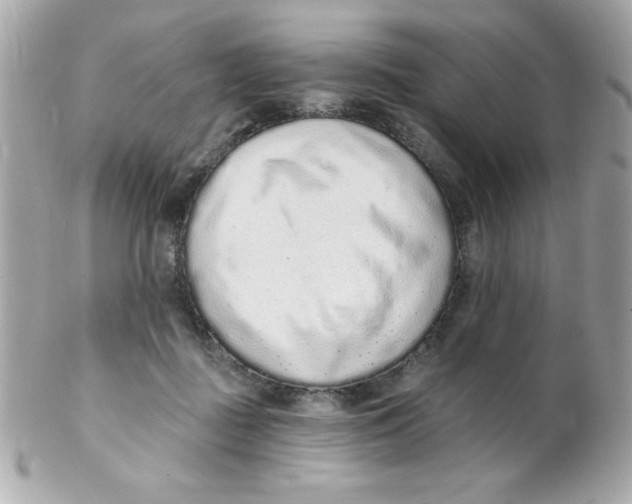 X0000102290363200808151959