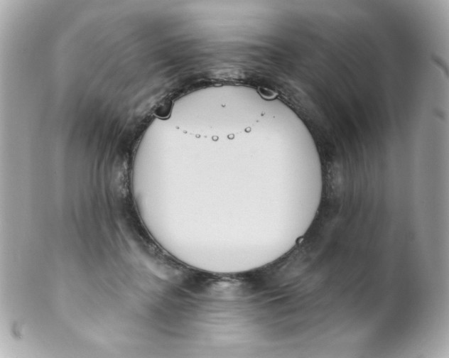 X0000102290364200808151959