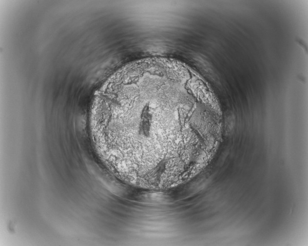 X0000102290365200808151959