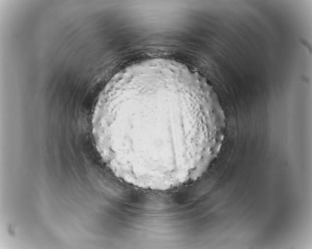 X0000102290367200808151959