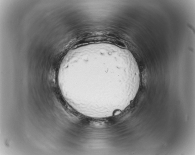 X0000102290368200808151959